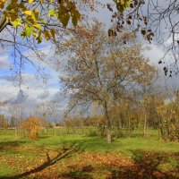 В парке :: Оксана Новик 