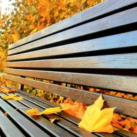 Октябрьское :: Ирина Via Октябрьское :: Ирина Via