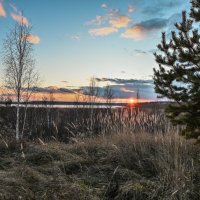 последние тёплые вечера :: сергей 