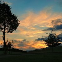 evening :: Elena Wymann evening :: Elena Wymann