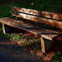 Осень 26 :: Алексей Кузнецов