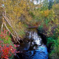 лесная река :: gawrilа - dan