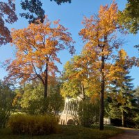 Осень :: Сапсан 