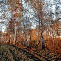 В свете утренней зари! :: Елена Хайдукова ( Elena Fly )