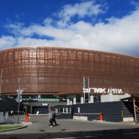 ледовая арена :: Елена Шаламова