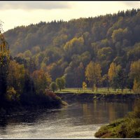 *** :: Aleksandr Gal