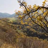 Горные луга :: LudMila 