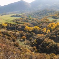 Горные луга :: LudMila 