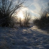 Зима :: Anna Ivanova Зима :: Anna Ivanova