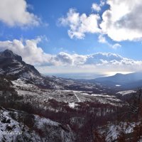 Природа Крыма :: Amazing Cosmea