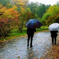 Осень в кадре(серия) :: Владимир Манкер Осень в кадре(серия) :: Владимир Манкер