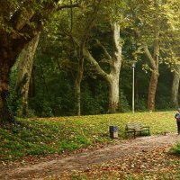 Утренняя прогулка :: Юрий. Шмаков Утренняя прогулка :: Юрий. Шмаков