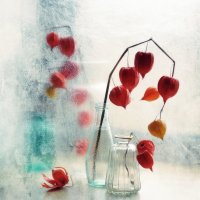 фонарики... :: Natali-C C