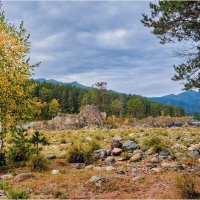 ***** :: Алексей Мезенцев ***** :: Алексей Мезенцев