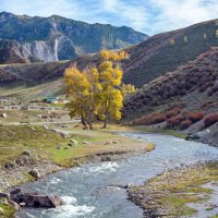 По дороге ... :: Kirill По дороге ... :: Kirill