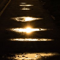 Солнце в лужах. :: Андрей Андрианов