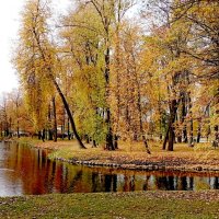 Золотая осень :: Николай 