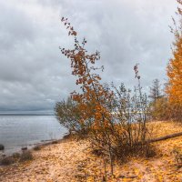 *** :: Сергей Григорьев