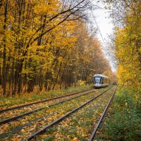 Осень :: Олег Дорошенко Осень :: Олег Дорошенко