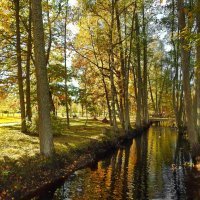 осень :: ИННА ПОРОХОВА