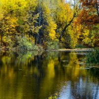 В непогоду :: Юрий Морозов