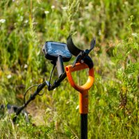 В поисках сокровищ :: Владимир Иванович