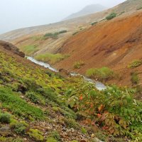 Вдоль канала :: Владимир Соколов (svladmir)