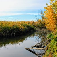 Октябрь. :: Владимир 