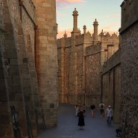 Воронцовский дворец :: skijumper Иванов