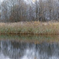 На пруду :: Сергей Зонов На пруду :: Сергей Зонов