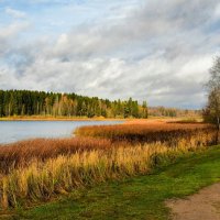 Осень в конце октября. :: Милешкин Владимир Алексеевич 
