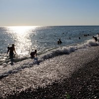 Октябрь в Сириусе :: Татьяна Лютаева Октябрь в Сириусе :: Татьяна Лютаева