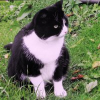 Хорошо в саду :: Людмила Смородинская Хорошо в саду :: Людмила Смородинская