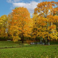 Осень. :: vladimir Б