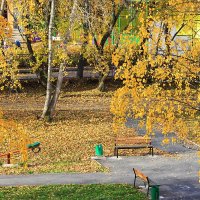 Осень во дворе :: Александр Щеклеин