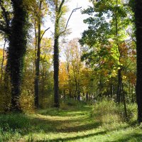 Картинки октября :: Рита Симонова