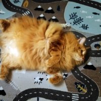 На перепутье всех дорог... :: Галина Ильясова На перепутье всех дорог... :: Галина Ильясова