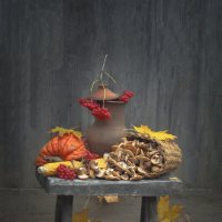 осень :: Александра [-/