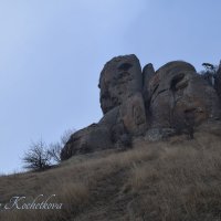 Природа Крыма :: Amazing Cosmea