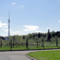 Мичуринский сад на ВДНХ в Москве :: Ольга Довженко