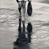 Дождливо :: СЮ 