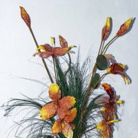 ... :: Светлана Ищенко