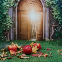 Натюрморт :: Светлана Ищенко