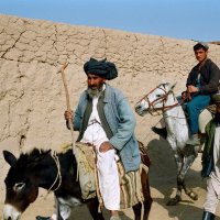 Талибы едут :: Сергей Золотавин