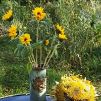 Кто не успел, тот опоздал! :: veilins veilins