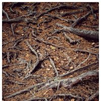 *** :: someone somewere