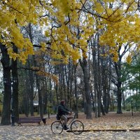 *** :: Валентина Береснева