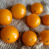 Оранжевые помидорки :: Александр Синдерёв