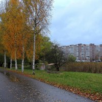 Октябрьские зарисовки :: Мария Васильева