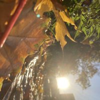 Осеннее настроение :: Nadezhda Philatova